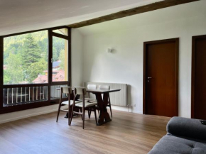 Trilocale mansardato Pinzolo Giustino